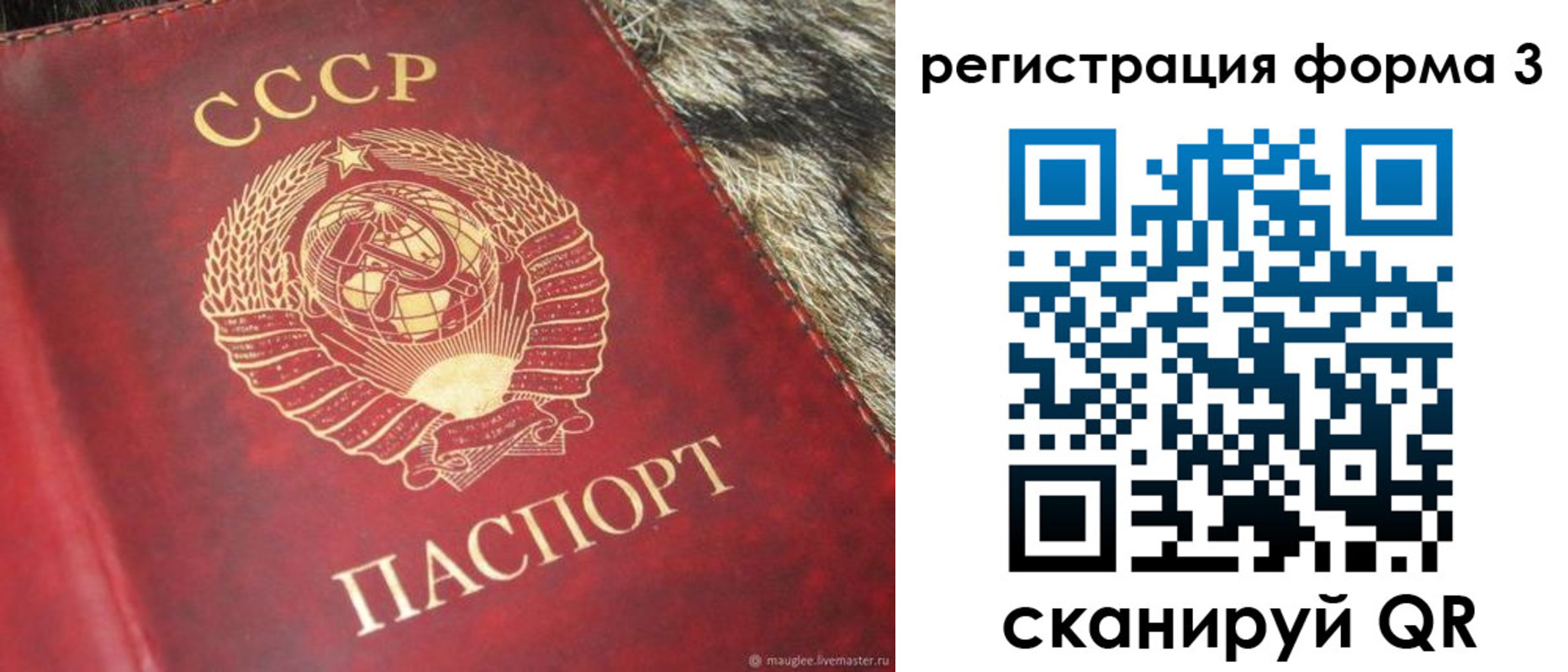 прописка регистрация в Касли